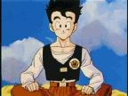 Adult Gohan