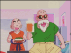 Master Roshi