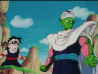 Piccolo