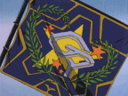 Galaxy Police Flag